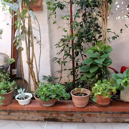 Panzió Porta Del Carmine Comacchio